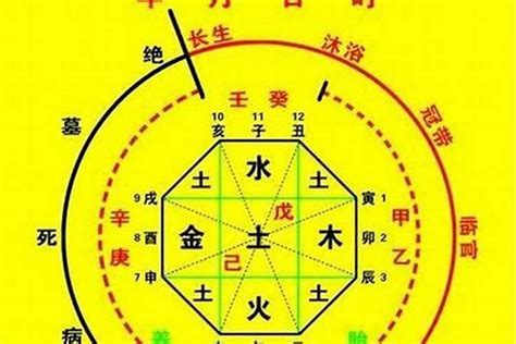 喜用神 木|八字喜用神是木：补运、注意事项、生活建议